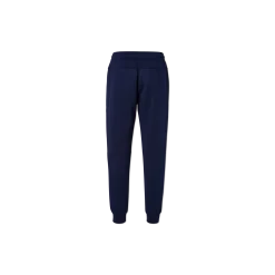 Online Tea Preiu Tech Feece Jogger Traininghoe Bündchen Team & Training